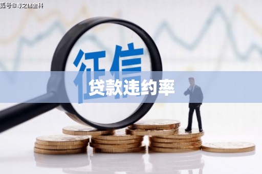 全南贷款违约率
