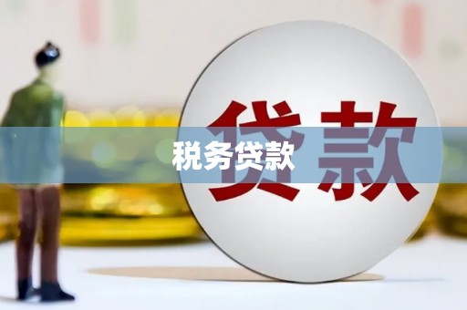 全南税务贷款
