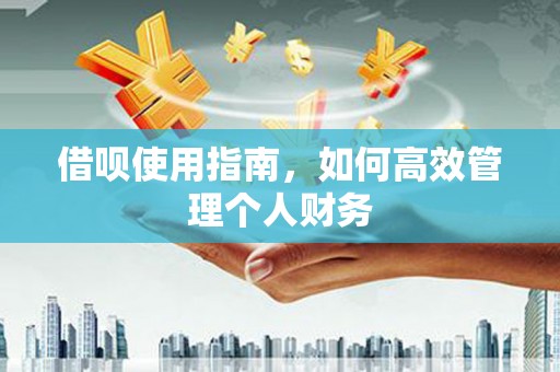 全南借呗使用指南，如何高效管理个人财务