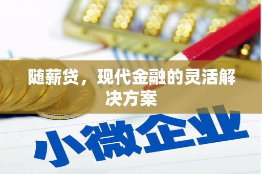 全南随薪贷，现代金融的灵活解决方案