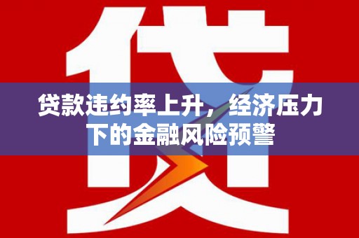 全南贷款违约率上升，经济压力下的金融风险预警
