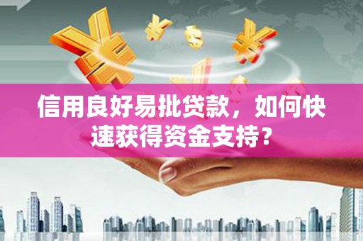 全南信用良好易批贷款，如何快速获得资金支持？
