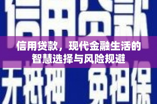 全南信用贷款，现代金融生活的智慧选择与风险规避