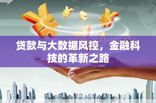 全南贷款与大数据风控，金融科技的革新之路