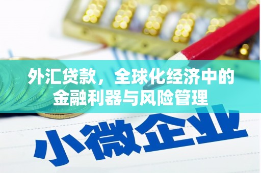 全南外汇贷款，全球化经济中的金融利器与风险管理