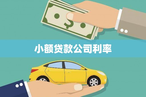 全南小额贷款公司利率