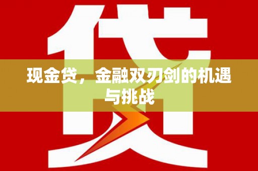 全南现金贷，金融双刃剑的机遇与挑战