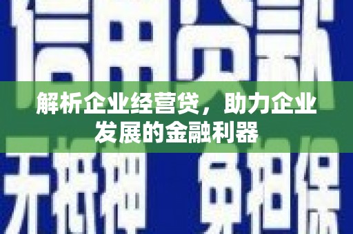 全南解析企业经营贷，助力企业发展的金融利器