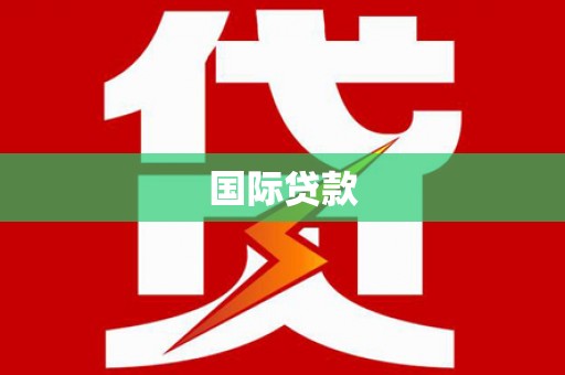 全南国际贷款