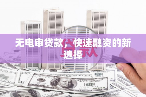 全南无电审贷款，快速融资的新选择