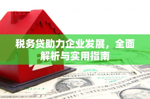 全南税务贷助力企业发展，全面解析与实用指南