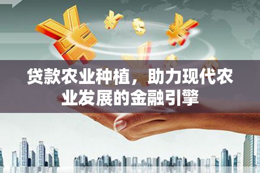 全南贷款农业种植，助力现代农业发展的金融引擎