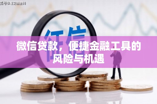 全南微信贷款，便捷金融工具的风险与机遇