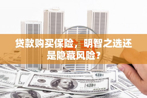 全南贷款购买保险，明智之选还是隐藏风险？