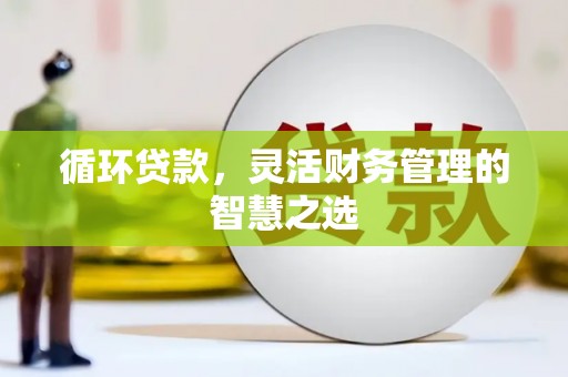 全南循环贷款，灵活财务管理的智慧之选