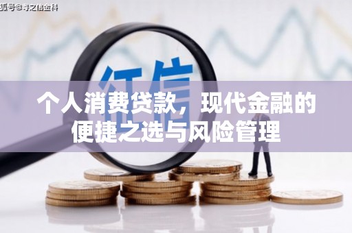 全南个人消费贷款，现代金融的便捷之选与风险管理
