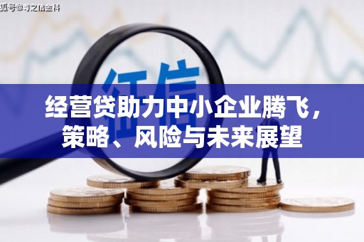 全南经营贷助力中小企业腾飞，策略、风险与未来展望