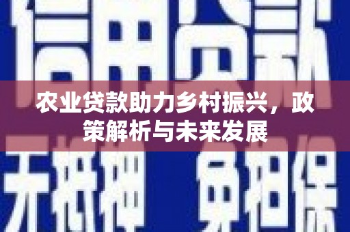 全南农业贷款助力乡村振兴，政策解析与未来发展