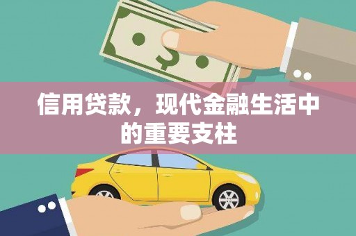 全南信用贷款，现代金融生活中的重要支柱