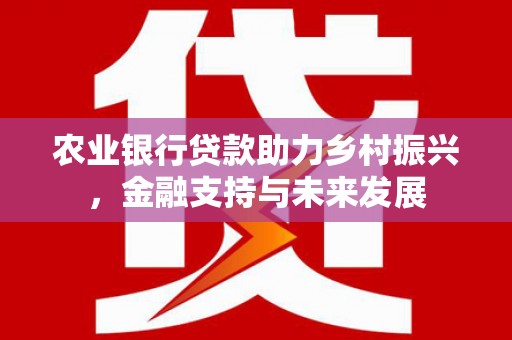 全南农业银行贷款助力乡村振兴，金融支持与未来发展