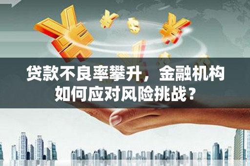 全南贷款不良率攀升，金融机构如何应对风险挑战？