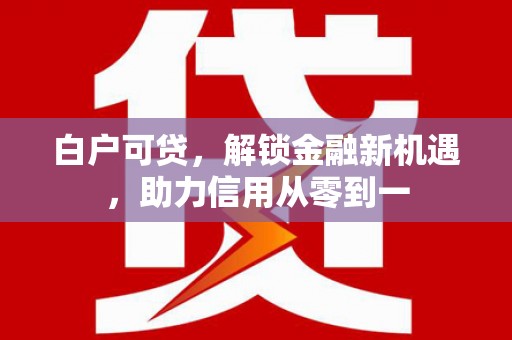 全南白户可贷，解锁金融新机遇，助力信用从零到一