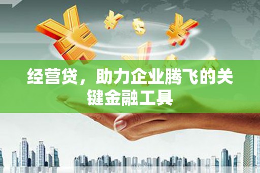 全南经营贷，助力企业腾飞的关键金融工具