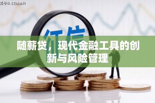 全南随薪贷，现代金融工具的创新与风险管理