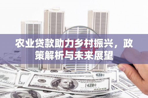 全南农业贷款助力乡村振兴，政策解析与未来展望