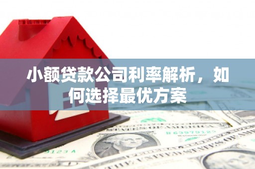 全南小额贷款公司利率解析，如何选择最优方案