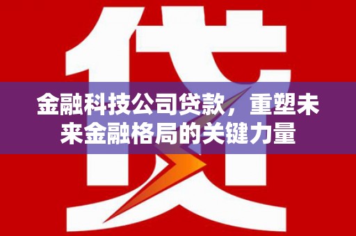 全南金融科技公司贷款，重塑未来金融格局的关键力量