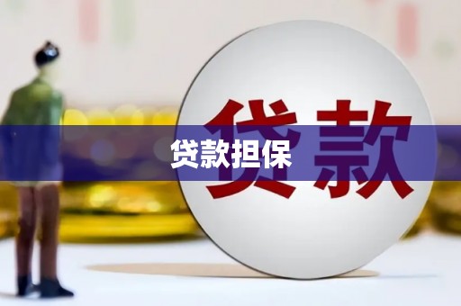 全南贷款担保