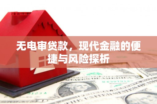 全南无电审贷款，现代金融的便捷与风险探析
