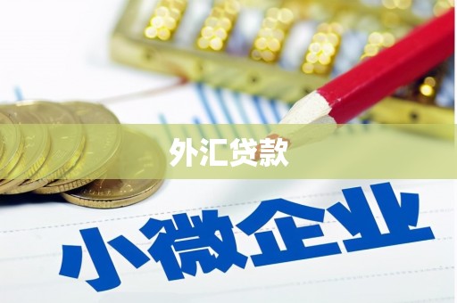 全南外汇贷款