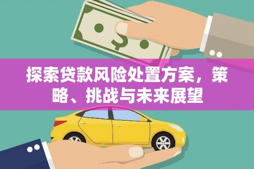 全南探索贷款风险处置方案，策略、挑战与未来展望