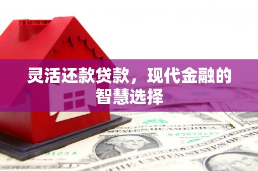 全南灵活还款贷款，现代金融的智慧选择