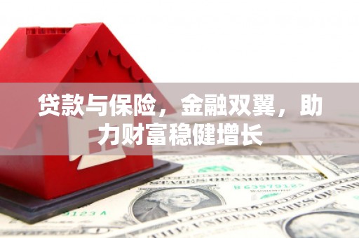 全南贷款与保险，金融双翼，助力财富稳健增长