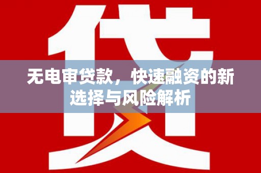 全南无电审贷款，快速融资的新选择与风险解析