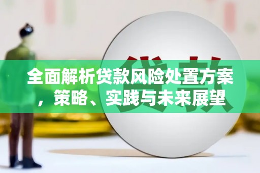全南全面解析贷款风险处置方案，策略、实践与未来展望