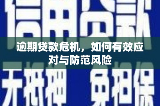 全南逾期贷款危机，如何有效应对与防范风险