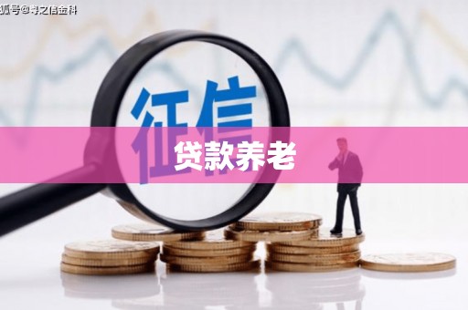 全南贷款养老