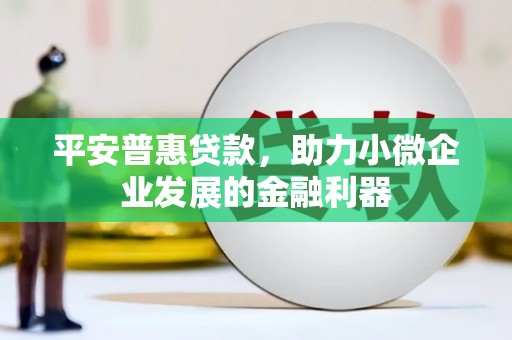 全南平安普惠贷款，助力小微企业发展的金融利器
