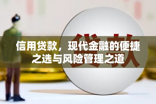 全南信用贷款，现代金融的便捷之选与风险管理之道