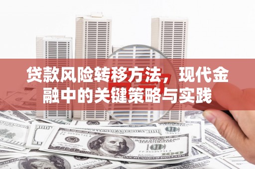 全南贷款风险转移方法，现代金融中的关键策略与实践