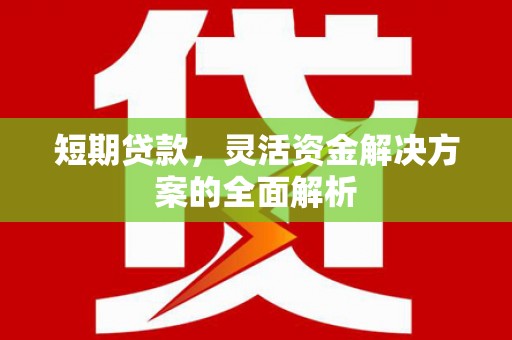 全南短期贷款，灵活资金解决方案的全面解析
