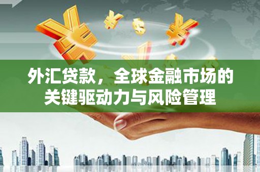 全南外汇贷款，全球金融市场的关键驱动力与风险管理
