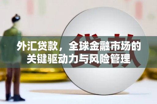 全南外汇贷款，全球金融市场的关键驱动力与风险管理