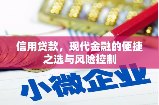 全南信用贷款，现代金融的便捷之选与风险控制