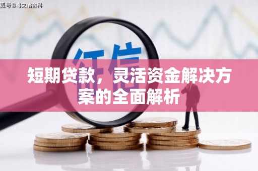 全南短期贷款，灵活资金解决方案的全面解析