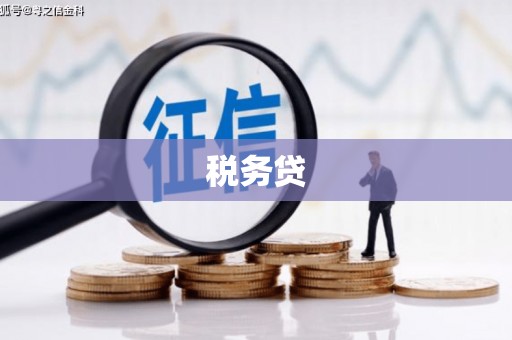 全南税务贷